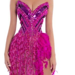 Albina Dyla Pink Corset with Sequins, Beads, & Feathers